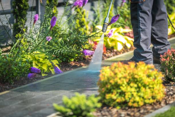 Best Patio and Deck Pressure Washing  in Mayville, NY