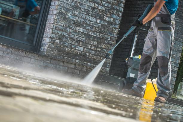 Best Fleet Vehicle Washing  in Mayville, NY