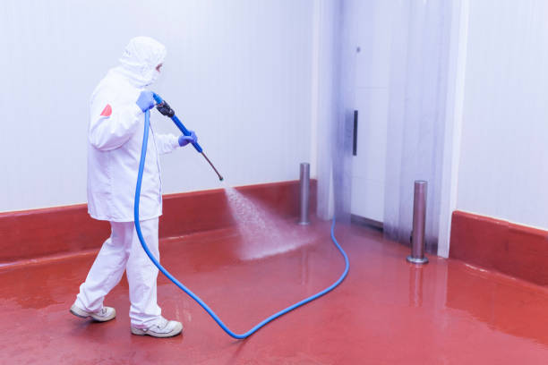 Best Pre-Holiday Cleaning  in Mayville, NY