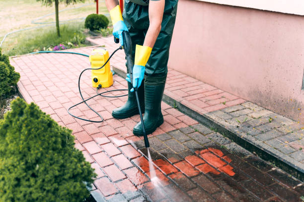 Best Building Exterior Washing  in Mayville, NY