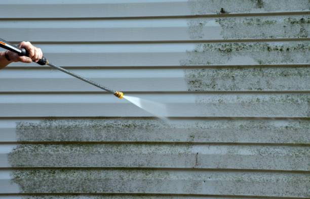 Best House Exterior Washing  in Mayville, NY
