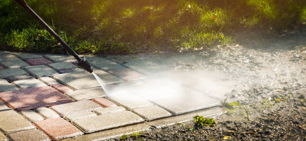 Best Roof Washing  in Mayville, NY