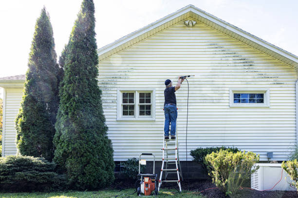 Best Roof Washing  in Mayville, NY