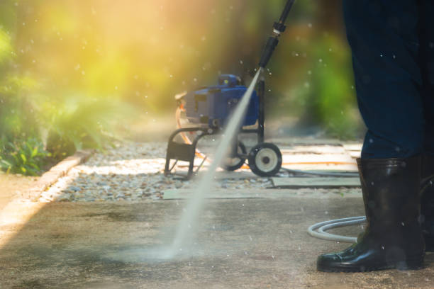 Best Gutter Cleaning  in Mayville, NY